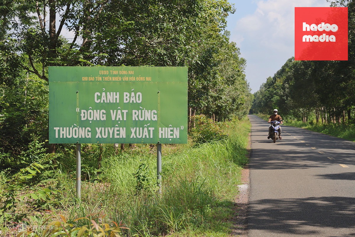 Dự án đường xuyên rừng Mã Đà với 13 km cầu trên cao trước ngày khởi công
