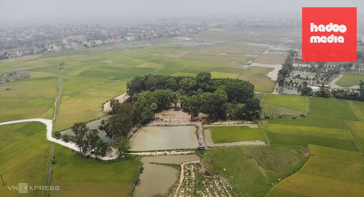 Đền thờ Nguyễn Văn Nghi nằm giữa cánh đồng rộng lớn tại phường Đông Tiến. Ảnh: Lê Hoàng