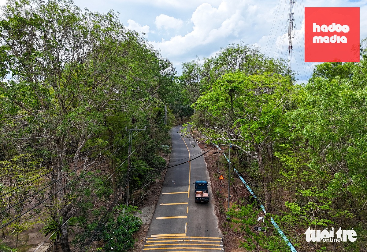 Với tổng chiều dài tuyến hơn 42km, dự án có khoảng 6km sẽ được làm cầu cạn đoạn đi qua khu vực Khu bảo tồn thiên nhiên Bình Châu - Phước Bửu. Một số đoạn sẽ nghiên cứu xây dựng cầu vượt hoặc hầm chui đảm bảo cho động vật đi lại an toàn