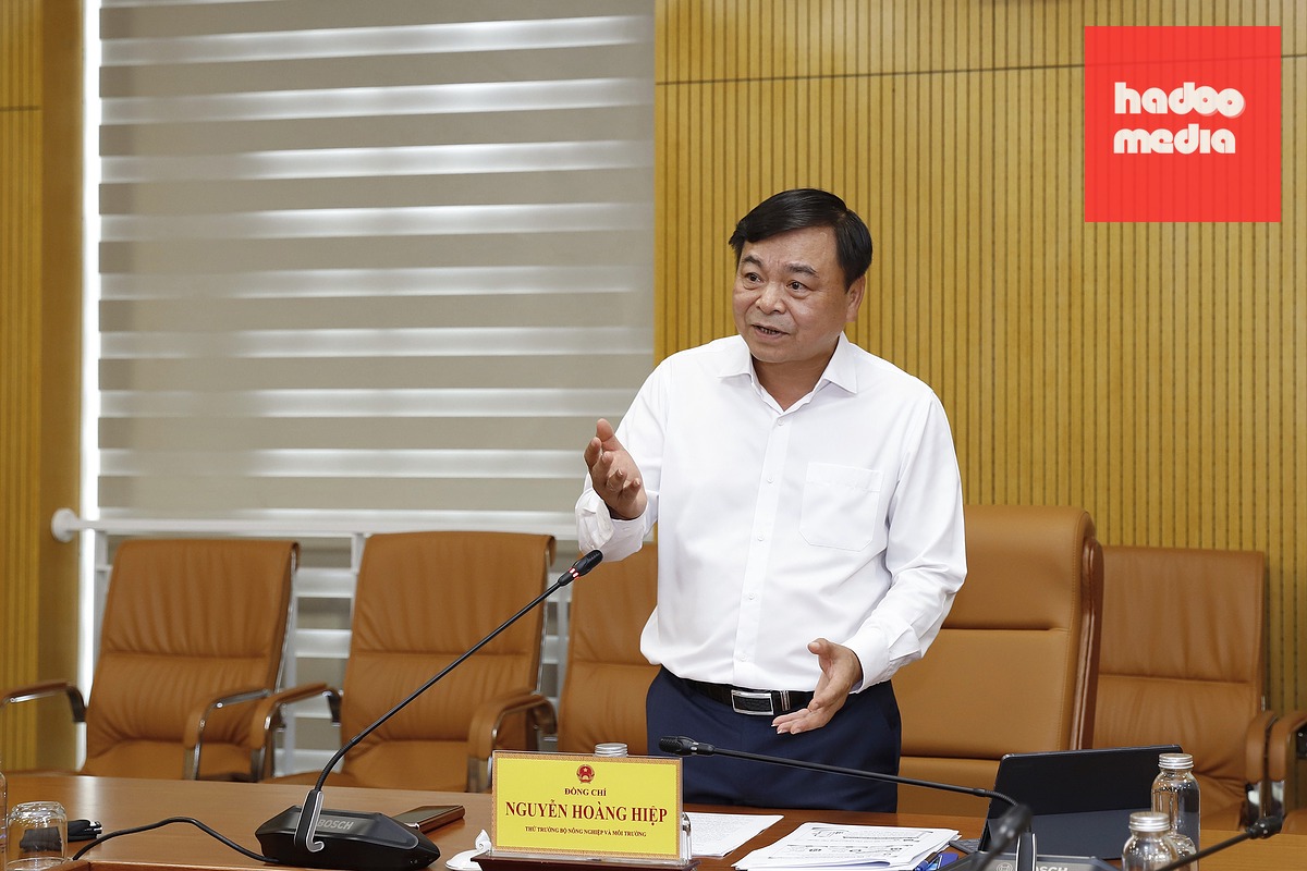 Ông Hiệp yêu cầu các đơn vị khẩn trương xây dựng và gửi dự thảo hồ sơ công việc, bộ tiêu chí KPI đánh giá của đơn vị về Vụ Tổ chức cán bộ trước ngày 1-7 - Ảnh: KHƯƠNG TRUNG