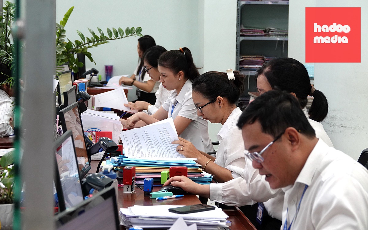 Chính phủ vừa có quy định mới về nguyên tắc, danh mục vị trí việc làm, bậc nghề nghiệp của vị trí việc làm  - Ảnh: T.T.D.