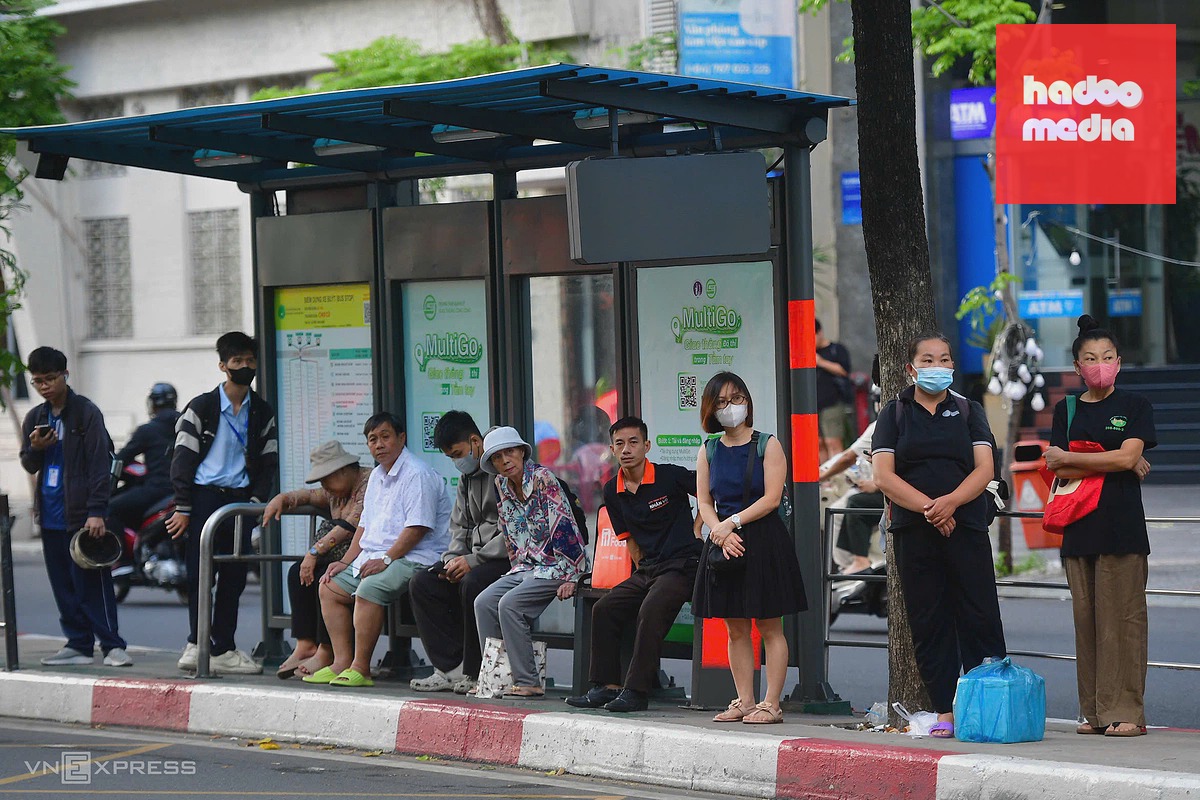 Ngày đầu miễn vé xe buýt tại TP HCM thu hút đông khách