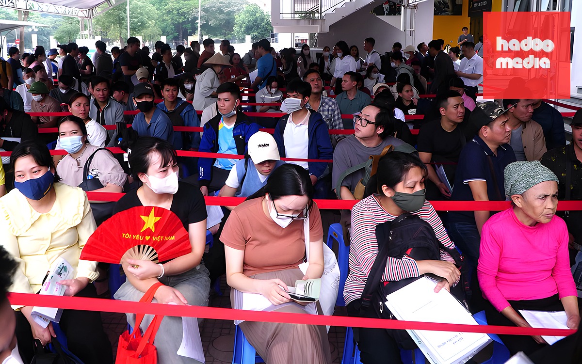Sở Xây dựng Hà Nội lên tiếng vụ 'dân khu chung cư cao cấp' bốc thăm mua nhà ở xã hội - Ảnh 2.