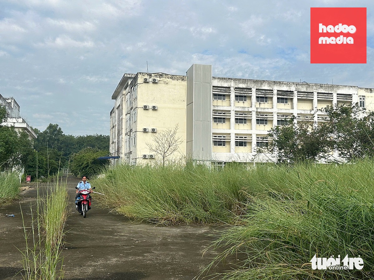 Trước khi cải tạo, sửa chữa thành Bệnh viện Tâm thần TP.HCM cơ sở 4, những khối nhà thể hiện rõ dấu hiệu xuống cấp, cỏ mọc um tùm (ảnh chụp tháng 10-2025) - Ảnh: BÁ SƠN