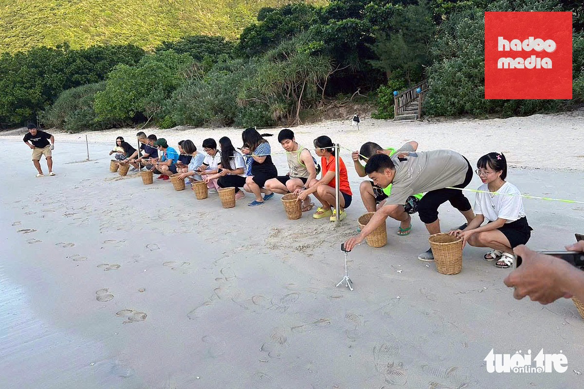 Tại Trung tâm giáo dục môi trường thuộc Vườn quốc gia Côn Đảo, các buổi thuyết minh về hệ sinh thái rừng và biển độc đáo thường được tổ chức để giáo dục về tầm quan trọng của thiên nhiên và tinh thần trách nhiệm bảo vệ môi trường sống.