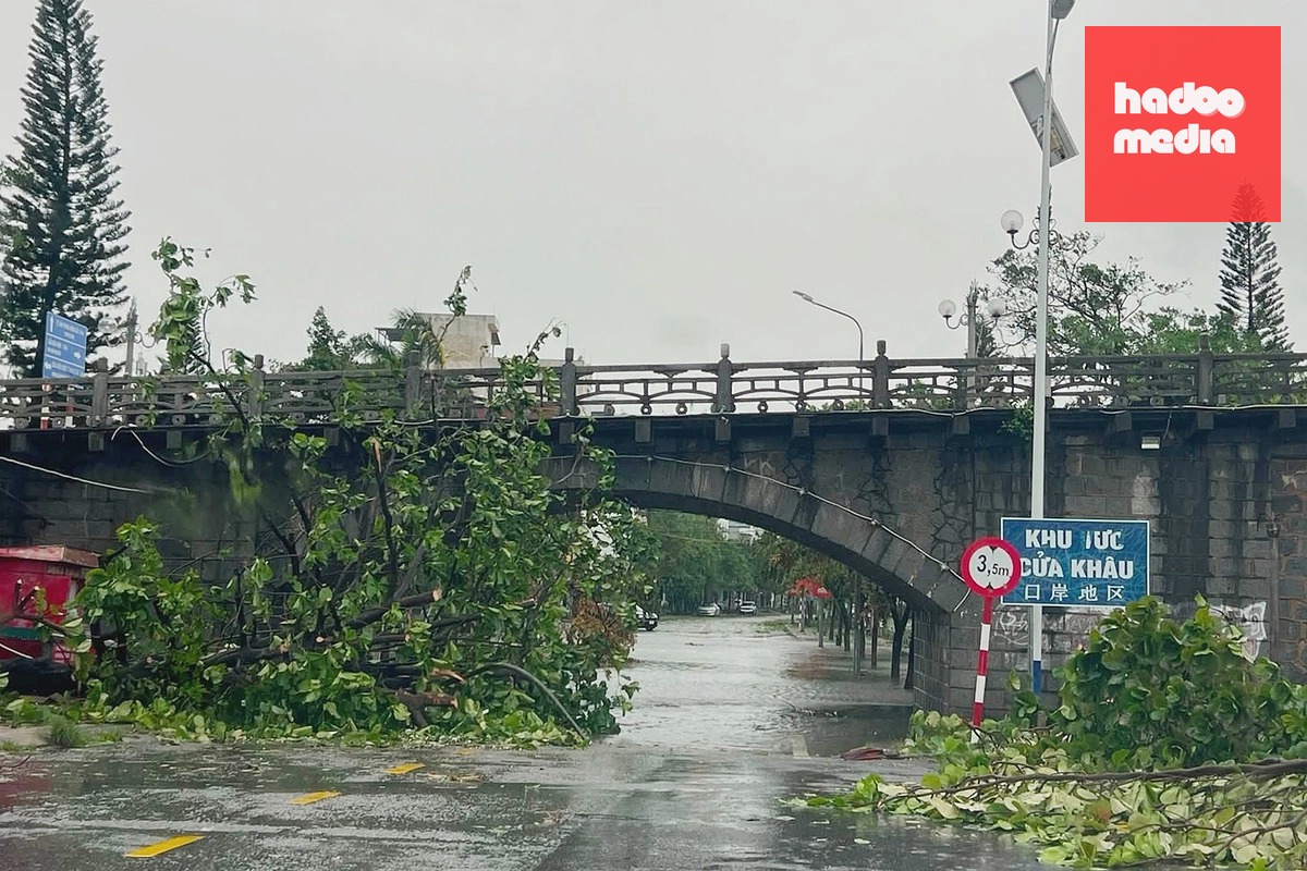 Bão Maysak gây ngập lụt và tốc mái nhà tại Móng Cái