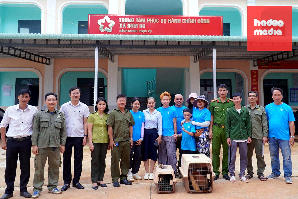 Lực lượng chức năng tiếp nhận hai con vượn má vàng quý hiếm từ người dân đưa về chăm sóc trước khi thả về môi trường tự nhiên - Ảnh: A.B.