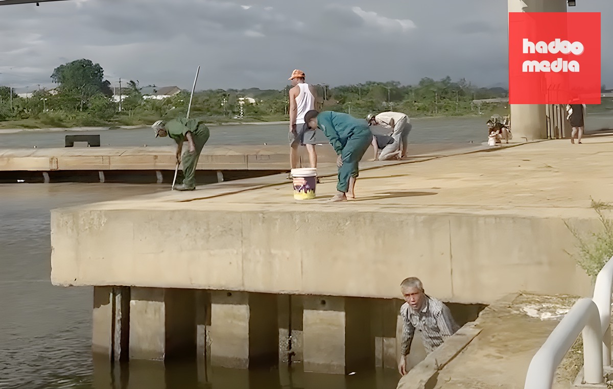 Người dân ra đập ngăn mặn trên sông Hiếu, phường Đông Hà vớt cá. Ảnh: Anh Phước