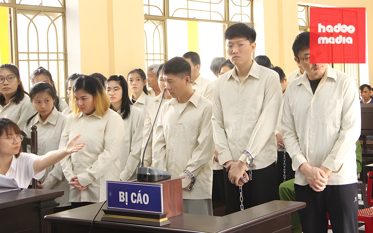 Đại án cho vay nặng lãi 20.000 tỉ đồng: Tòa trả hồ sơ điều tra bổ sung vụ án 103 bị cáo - Ảnh 2.