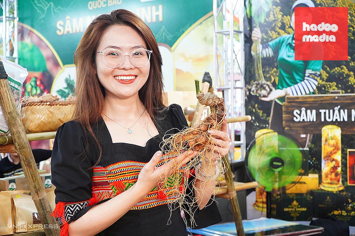 Giới thiệu sâm Ngọc Linh tại không gian trưng bày đối diện Chợ đêm Sơn Trà, ngày 10/7. Ảnh: Nguyễn Đông