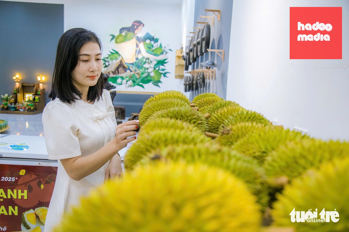 Cả triệu tấn sầu riêng của cả nước chủ yếu xuất quả tươi, đang đối mặt với thị trường có nhiều rủi ro - Ảnh: MINH PHƯƠNG