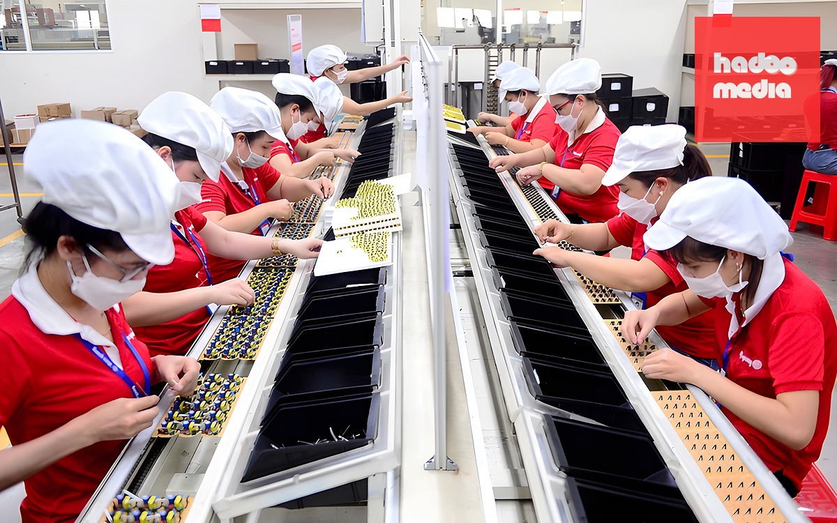 Phó chủ tịch tỉnh Ninh Bình: 'Doanh nghiệp tự tin lên, hội nhập quốc tế rồi, ngoại ngữ cũng phải giỏi' - Ảnh 2.