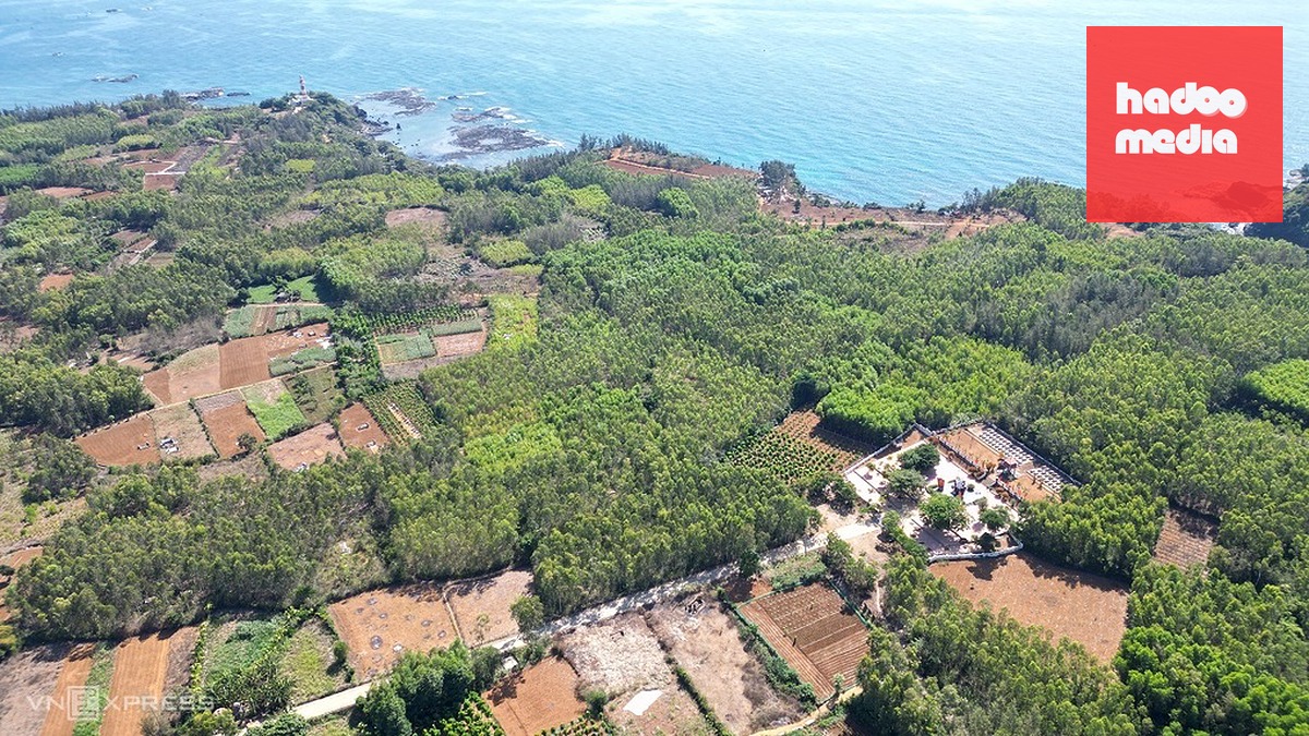 Địa đạo Đám Toái (phải) ở trung tâm bán đảo Ba Làng An, cách hải đăng khoảng 500 m. Ảnh: Phạm Linh