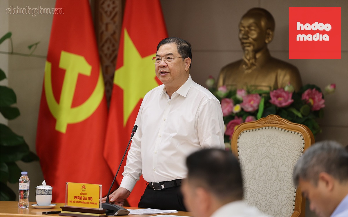 Rà soát để có phương án xử lý chung với các dự án - Ảnh: VGP