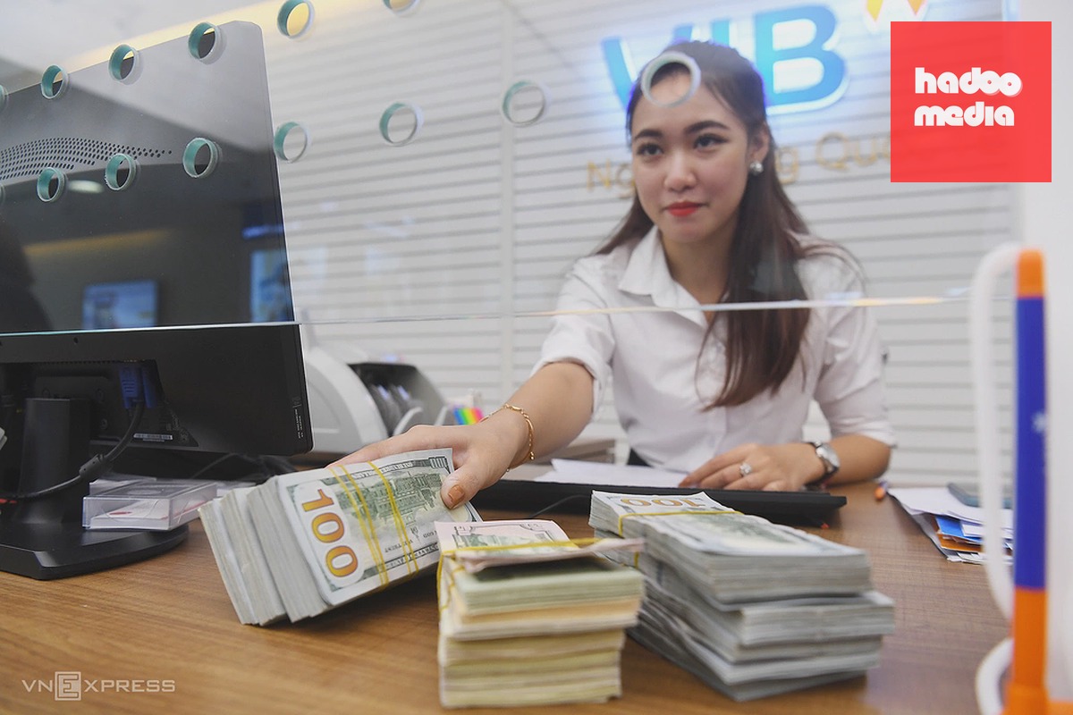 Nhân viên ngân hàng VIB kiểm đếm ngoại tệ. Ảnh: Giang Huy