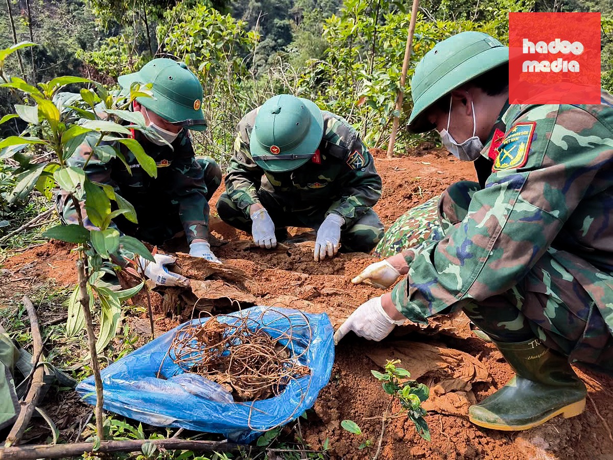Cán bộ, chiến sĩ Đoàn Kinh tế - Quốc phòng 337, cất bốc một hài cốt liệt sĩ tại rừng khe núi Cha Lỳ, thôn Cựp, xã Hướng Lập, hồi tháng 3/2026. Ảnh: Đoàn kinh tế Quốc phòng 337