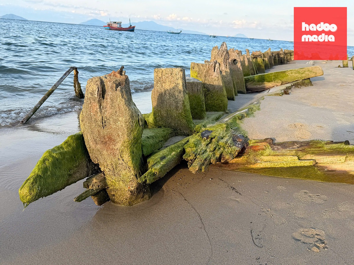 Rêu xanh bám quanh phần gỗ nổi của con tàu - Ảnh: LÊ QUỐC VIỆT