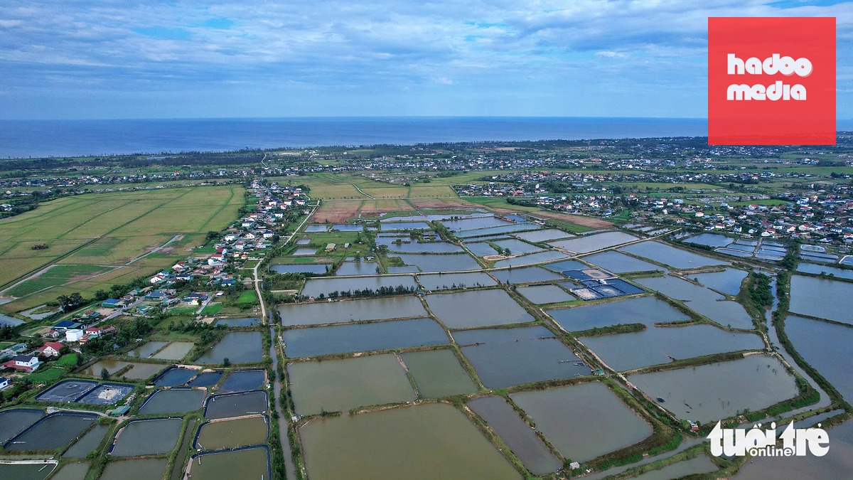 Điểm cuối giao với đường ven biển thuộc xã Đan Hải, tỉnh Hà Tĩnh. Tại khu vực dự kiến xây dựng tuyến đường kết nối cầu Bến Thủy 3 hiện chủ yếu là ao hồ nuôi trồng thủy sản, đất nông nghiệp và các tuyến đường nội đồng. Bao quanh khu vực là các cụm dân cư hiện hữu - Ảnh: DOÃN HÒA