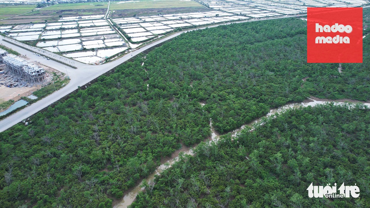 Để bảo đảm điều kiện triển khai dự án trong giai đoạn từ 2026 - 2030, UBND tỉnh Hà Tĩnh đã tổng hợp dự án vào danh mục các dự án trọng điểm liên vùng khởi công mới, đề xuất nhu cầu hỗ trợ vốn ngân sách Trung ương trong kế hoạch đầu tư công trung hạn giai đoạn 2026 - 2030; đồng thời đề xuất Thủ tướng Chính phủ, Bộ Tài chính xem xét hỗ trợ nguồn vốn từ tăng thu ngân sách Trung ương - Ảnh: DOÃN HÒA