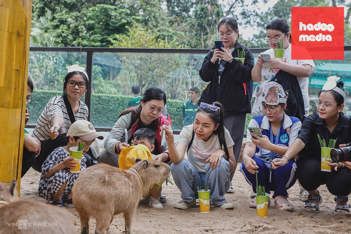 Các bạn trẻ, gia đình đưa con đi chơi ở Thảo Cầm Viên dịp cuối tuần. Ảnh: Khương Nguyễn