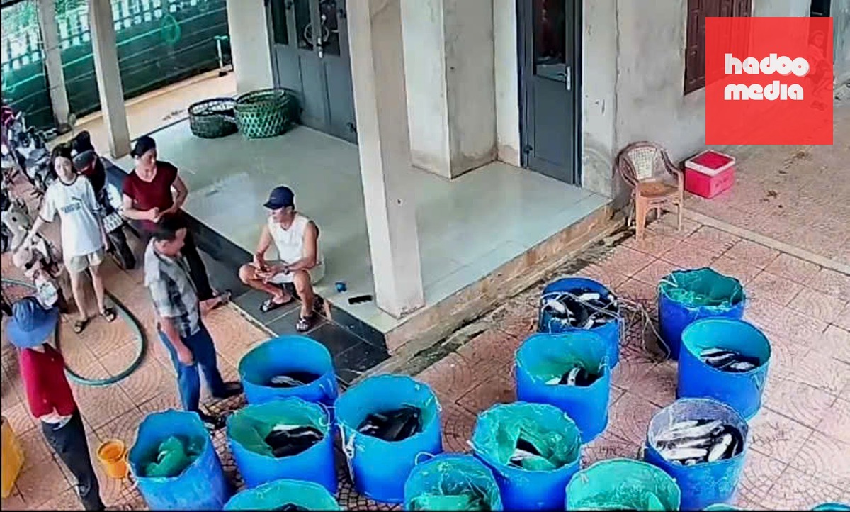 Sau khi hồ cá lóc bị sét đánh trúng, nhiều người dân địa phương đã đến mua ủng hộ giúp chủ hồ giảm bớt thiệt hại - Ảnh: VÂN ANH