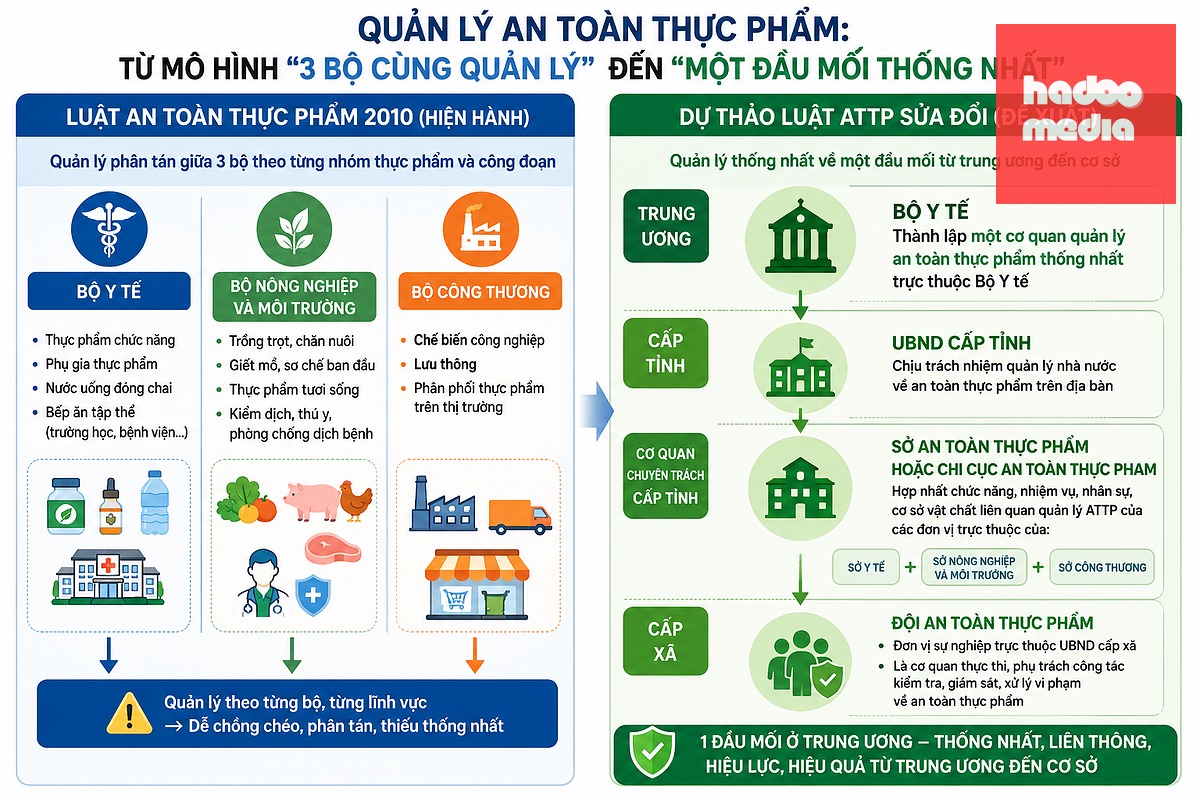 Mô hình quản lý an toàn thực phẩm chuyển sang hướng "một đầu mối thống nhất" thay cho mô hình "ba bộ một bữa ăn" hiện nay - Ảnh đồ họa: D.LIỄU