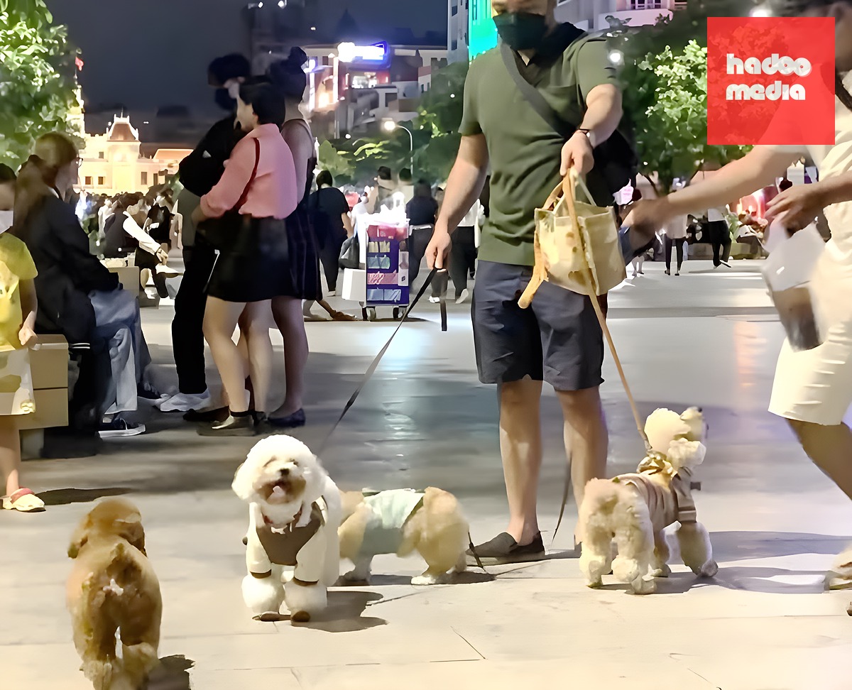 Mức phạt mới tới 2 triệu đồng đối với hành vi không rọ mõm chó nơi công cộng - Ảnh: T.T.D.