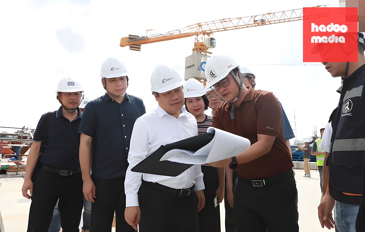 Chủ tịch Hà Nội (áo trắng) xem bản vẽ dự án Nhà hát Ngọc Trai - Ảnh: VƯƠNG VÂN