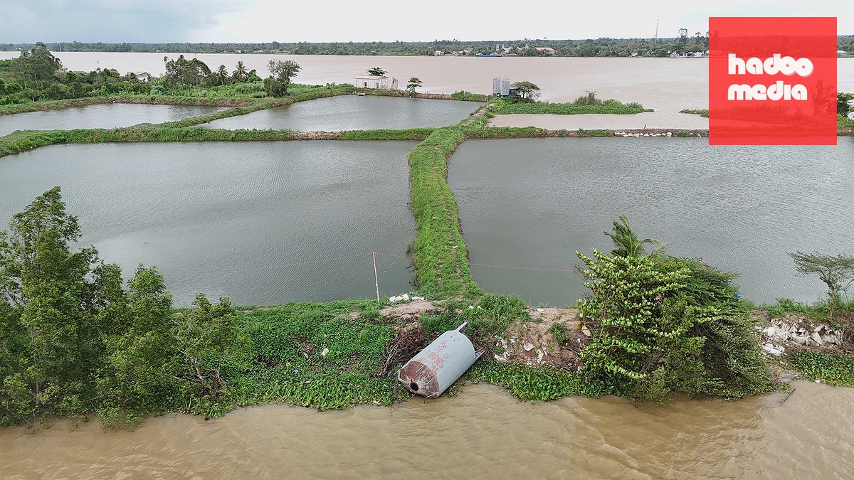Cồn Thanh Long ở miền Tây thu hẹp do sạt lở nghiêm trọng