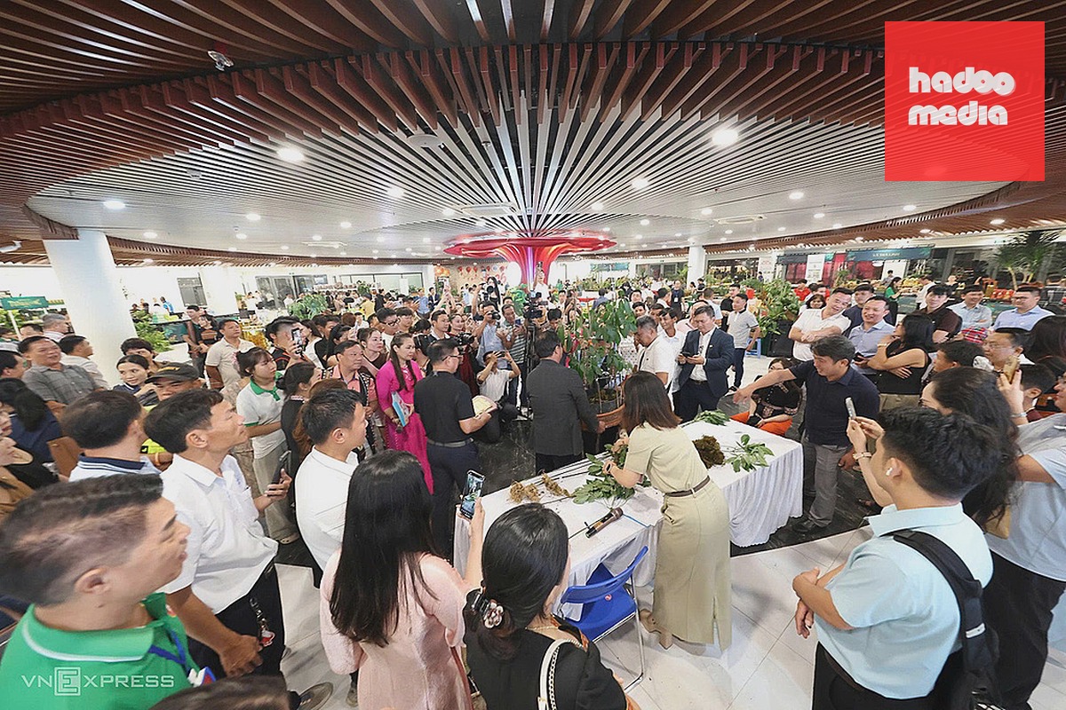 Quang cảnh buổi đấu giá sâm. Ảnh: Lê Trọng Khang