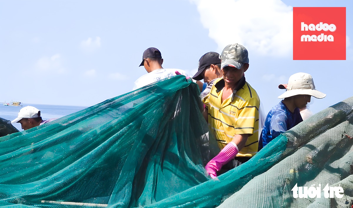 Đội tàu ở Phú Quốc chuẩn bị lưới vươn khơi ra biển đánh bắt cá cơm - Ảnh: CHÍ CÔNG