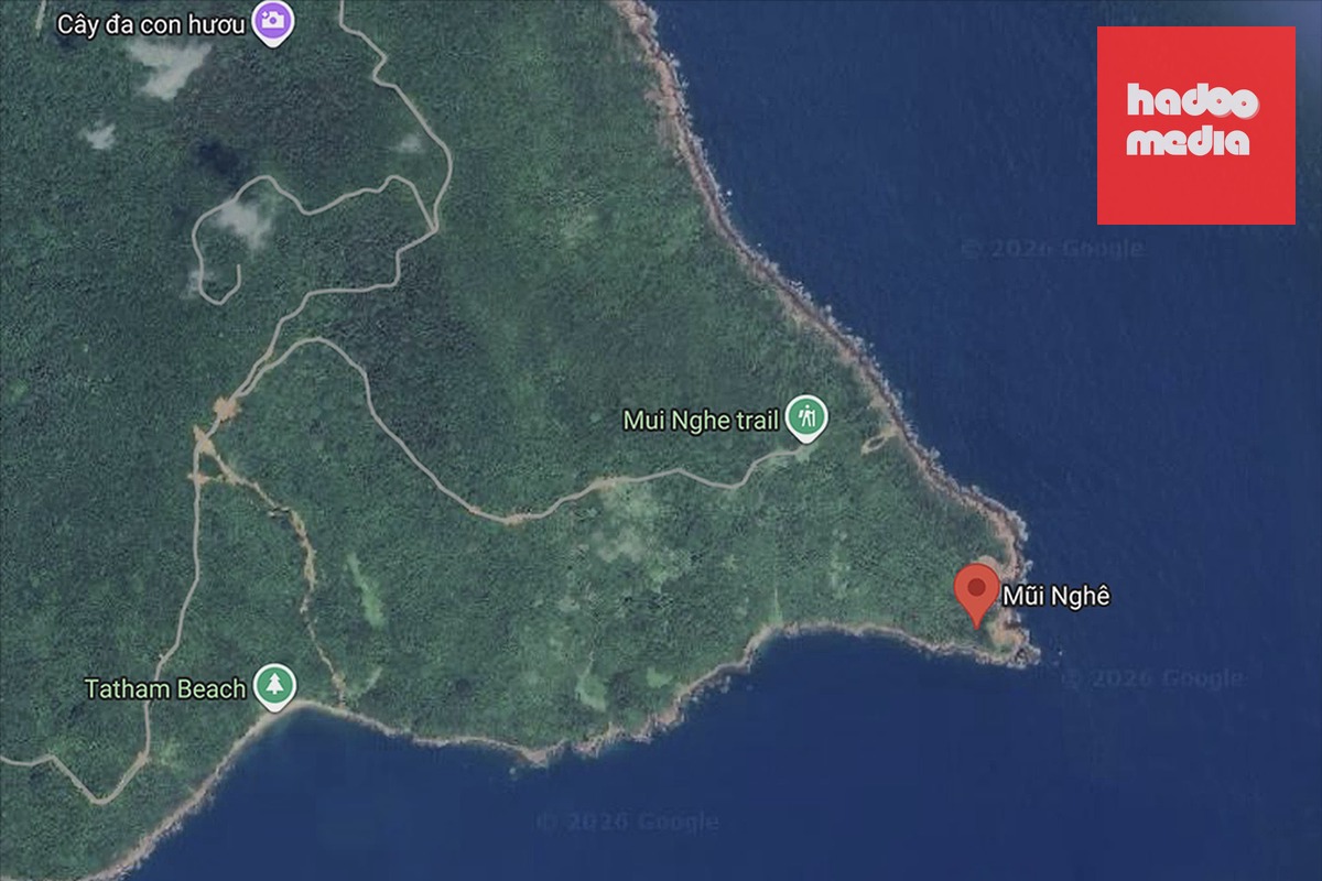 Mũi Nghê, điểm cực đông của bán đảo Sơn Trà, địa hình di chuyển hiểm trở. Ảnh: Google Maps