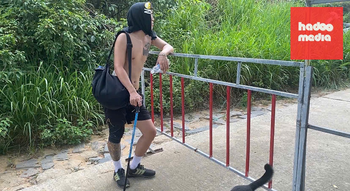 Sơn Trà đẹp mê hoặc nhưng không phải cung đường nào cũng được đi - Ảnh 3.