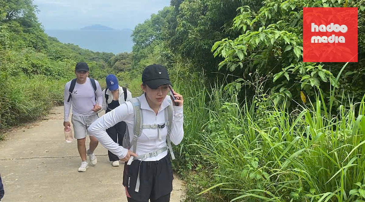 Sơn Trà đẹp mê hoặc nhưng không phải cung đường nào cũng được đi - Ảnh 4.