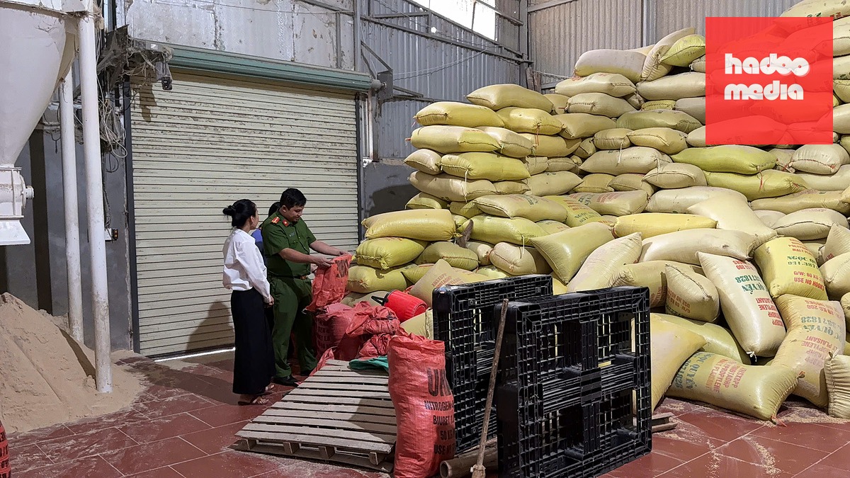 Lực lượng chức năng kiểm tra kho hàng Công ty TNHH hai thành viên nông sản Biên Ly - Ảnh: TỐNG HUỆ