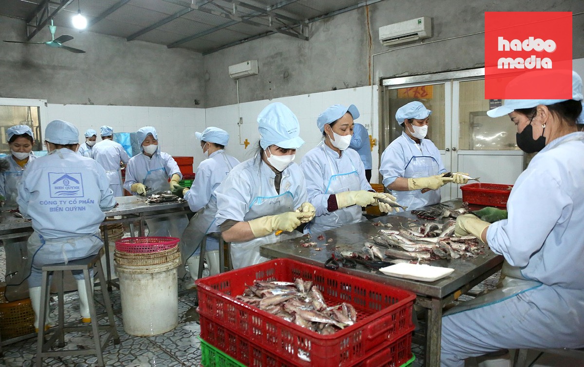 Các chuyên gia đề xuất giảm thuế chưa đủ mà còn phải giảm chi phí về hóa đơn, kê khai thuế, chi phí thủ tục khác cho người kinh doanh - Ảnh: LÊ THANH