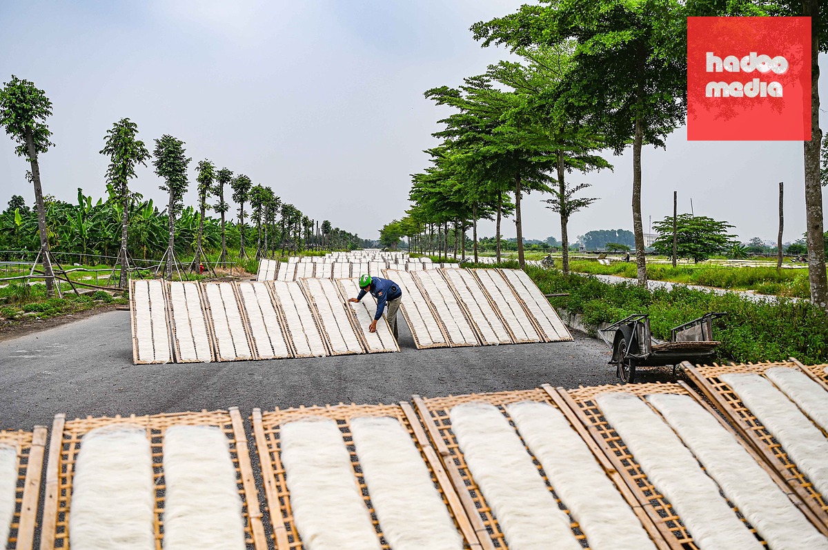 Người dân tận dụng nền đường liên khu đang bỏ hoang để phơi miến dong, mì gạo...