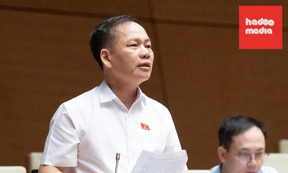 Đại biểu Trần Đình Gia (Phó đoàn ĐBQH tỉnh Hà Tĩnh) phát biểu tại hội trường sáng 10/8. Ảnh: Cổng TTĐT Quốc hội