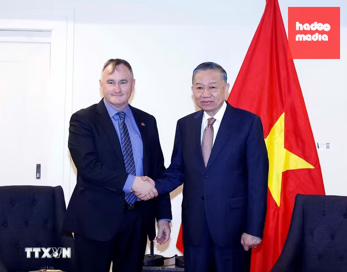 Tổng Bí thư, Chủ tịch nước Tô Lâm tiếp ông Craig Bradshaw, Giám đốc điều hành Công ty EQ Resources Limited, Úc - Ảnh: TTXVN