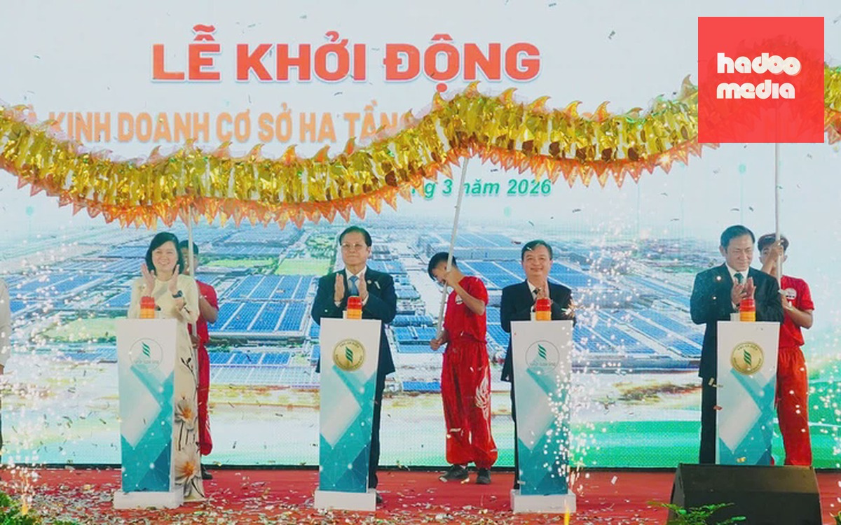 Phó bí thư Thành ủy TP.HCM Văn Thị Bạch Tuyết làm việc với Công ty Cao su Dầu Tiếng - Ảnh 2.