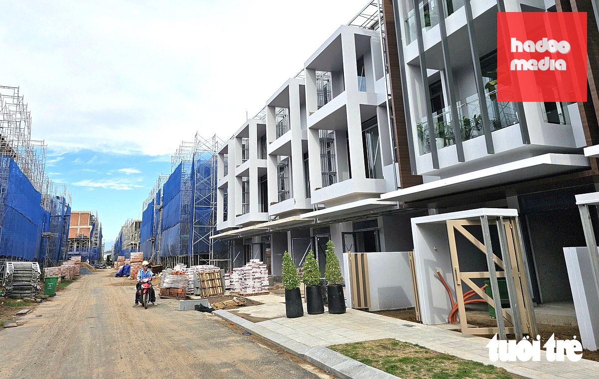 Viện Kinh tế tài nguyên và Môi trường TP.HCM đề xuất xem xét thực hiện việc cấp sổ hồng lần đầu trên không gian số thông qua Cổng dịch vụ công quốc gia - Ảnh: CÔNG TRIỆU