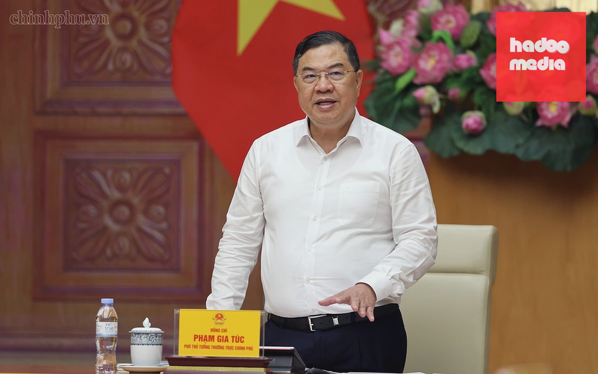 Phó thủ tướng thường trực Phạm Gia Túc phát biểu tại hội nghị, ngày 13/8. Ảnh: VGP