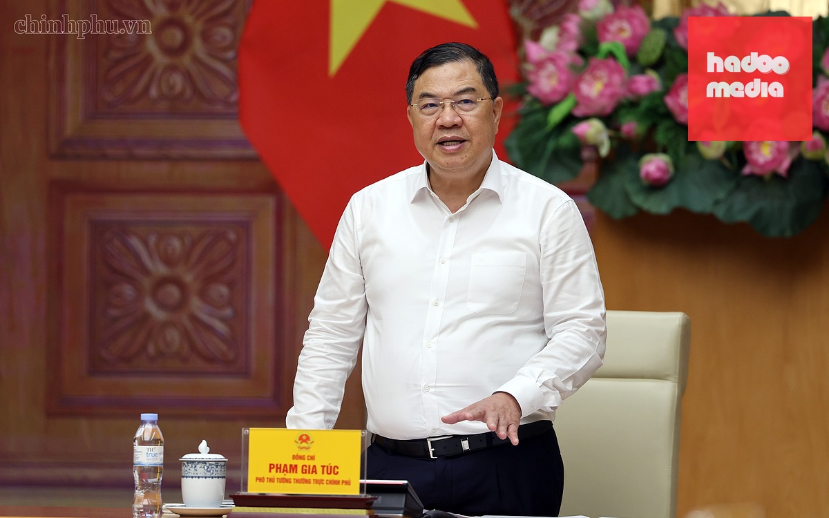 Phó thủ tướng thường trực Phạm Gia Túc - Ảnh: VGP