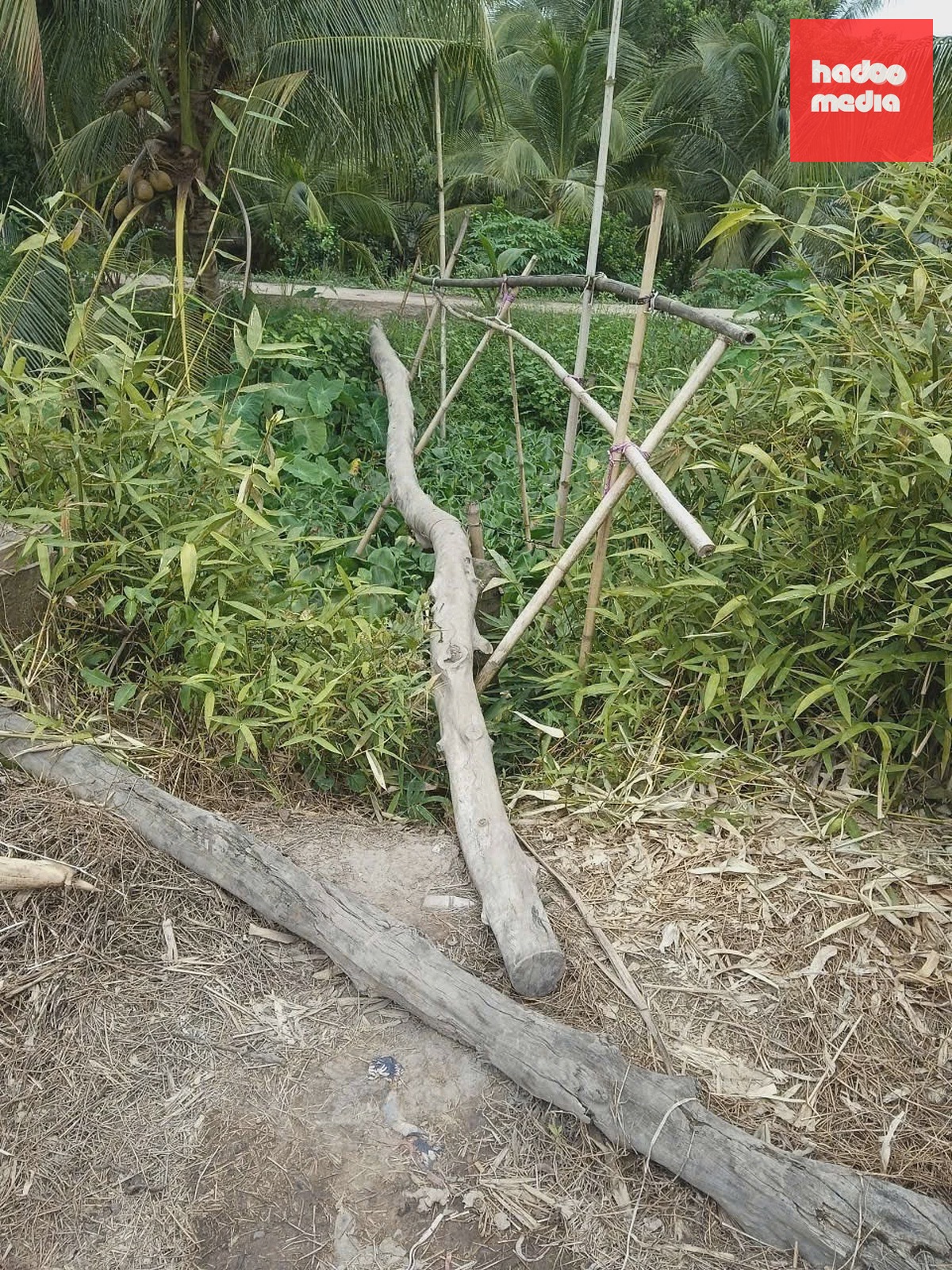 Lối qua kênh do người dân dựng tạm bằng thân cây và tre tại ấp Mỹ Thành. Ảnh: Nguyễn Trúc Phương