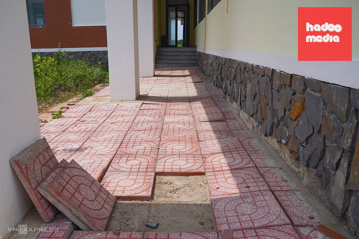 Khu nuôi tôm công nghệ cao 9 năm chờ doanh nghiệp sản xuất tại Bạc Liêu