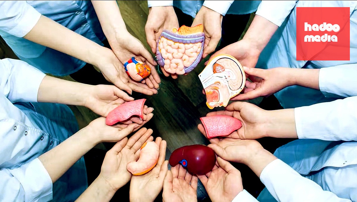 Bộ Y tế đề xuất người trên 25 tuổi mới được hiến tạng cho người ngoài gia đình - Ảnh minh họa
