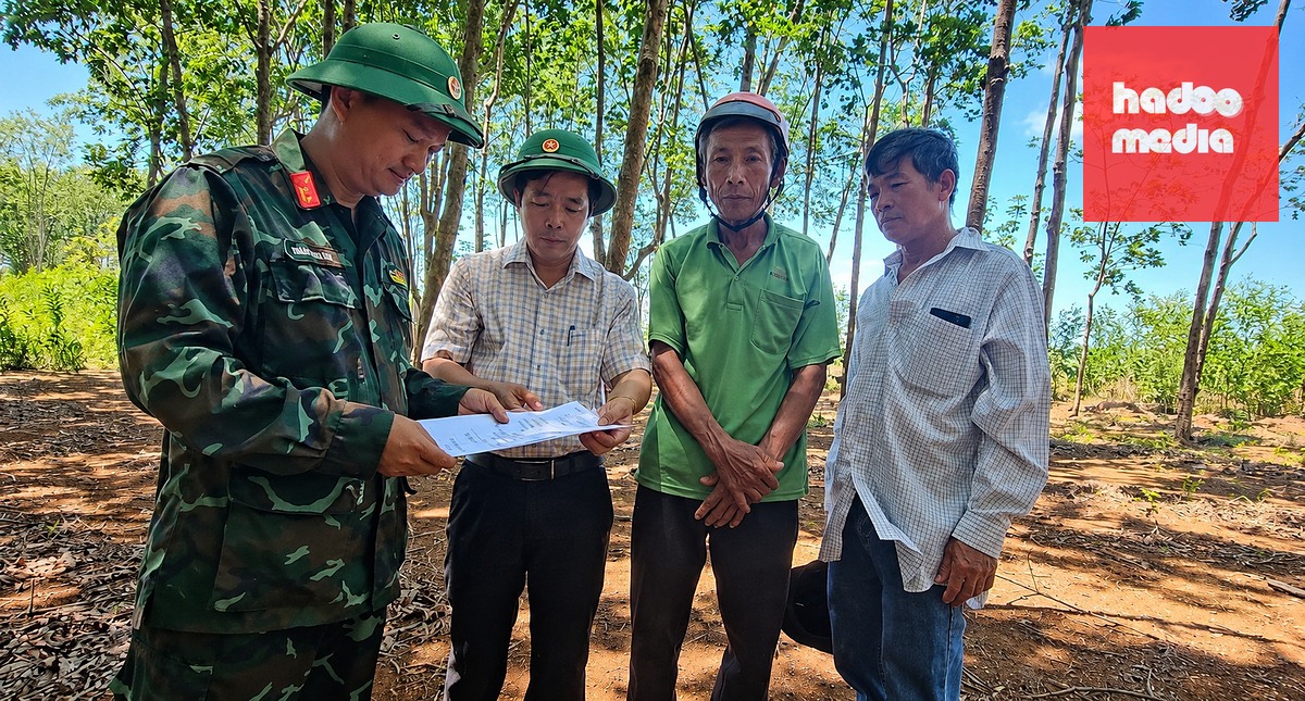 Chính quyền xã Gio Linh đã tổ chức khảo sát theo sơ đồ nhân chứng cung cấp về vị trí chôn cất 11 liệt sĩ đặc công năm 1965 - Ảnh: QUỐC NAM