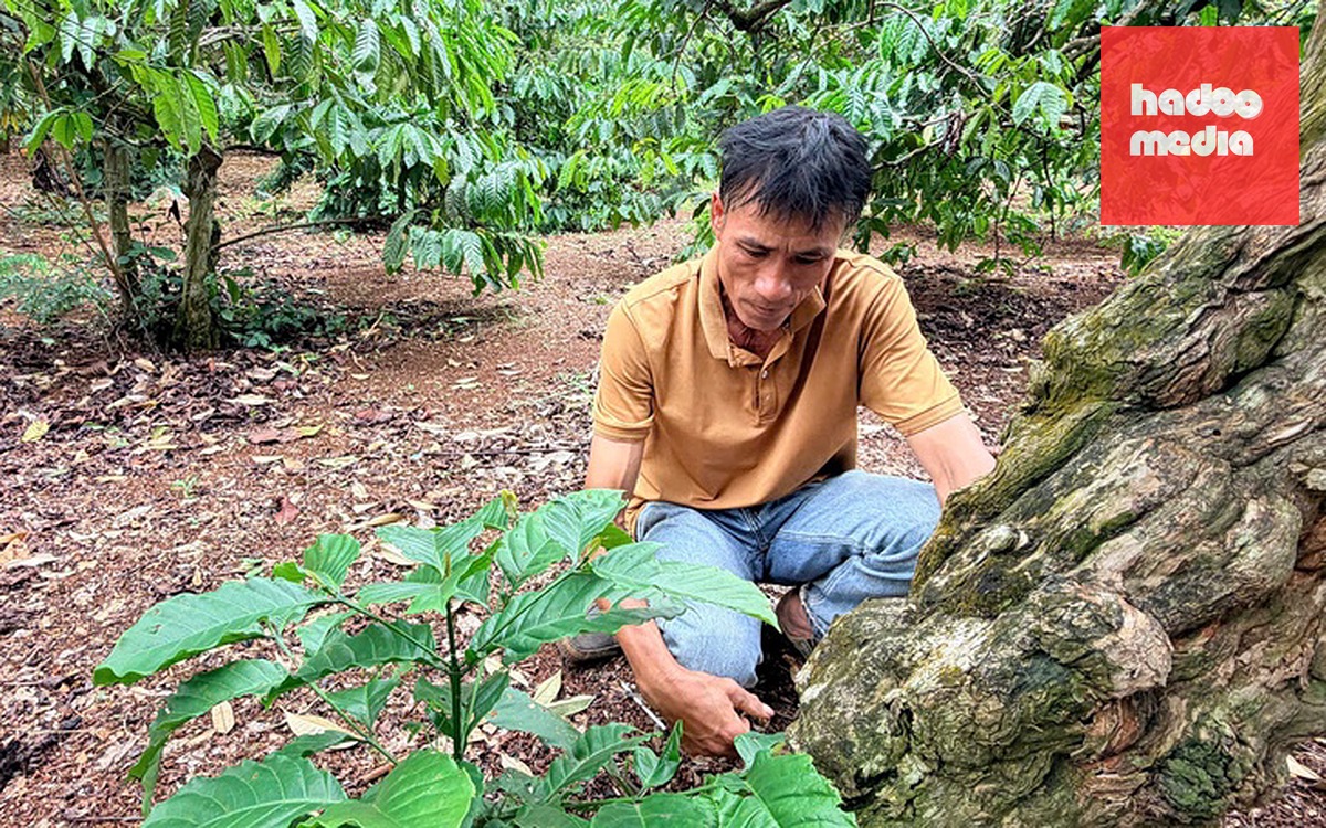 TP.HCM 'bắt tay' vùng duyên hải Nam Trung Bộ - Tây Nguyên cùng tạo giá trị - Ảnh 2.