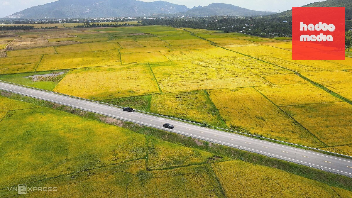 Tuyến đường tránh xuyên đồng lúa ở vùng biên An Giang: Công trình trọng điểm quốc phòng