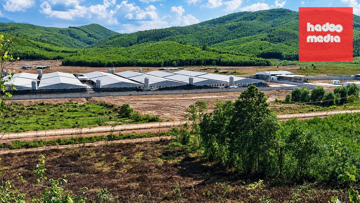 Trại chăn nuôi heo Minh Phúc, xã Sơn Thành, Đắk Lắk bị người dân phản ánh gây mùi hôi - Ảnh: V.Đ